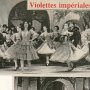 Violettes Impériales